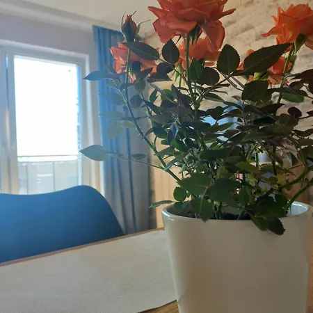 Apartment Osemka